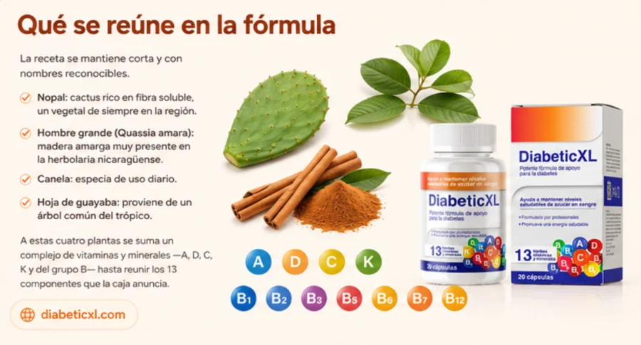 DiabeticXL — fórmula con cuatro hierbas naturales