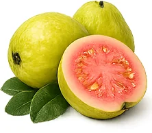 DiabeticXL — hoja de guayaba